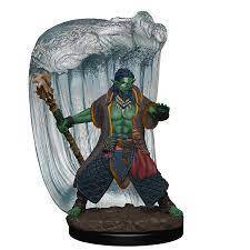 Icons of the Realms Water Genasi Druid
